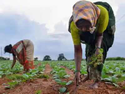 बारिश डाल सकती है जेब पर असर, कई फसलें तबाह, खाद्य कीमतें बढ़ने के आसार