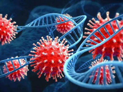 पिछले 24 घंटे में मिले कोरोना के 2430 नए मामले, सक्रिय मामलों में भी आई गिरावट