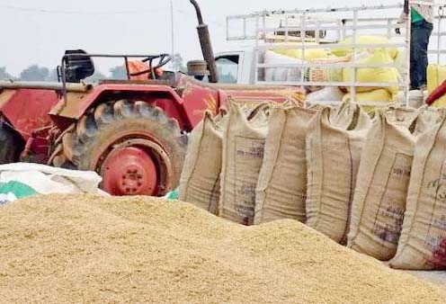 प्रदेश में 25 नवंबर से 2040 रुपए प्रति क्विंटल से धान की खरीदी होगी
