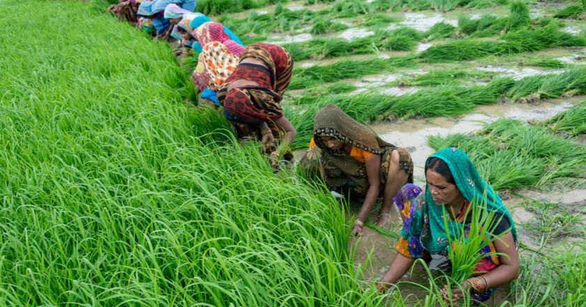 किसान सम्मान निधि की राशि बढ़ाने किसान संगठन डाल रहा सरकार पर दबाव