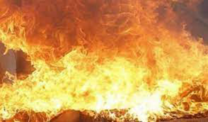 पटना: प्लाईवुड फैक्ट्री में भीषण आग, 40 दमकलों ने आठ घंटे में पाया काबू; आसपास के मकानों में आई दरारें