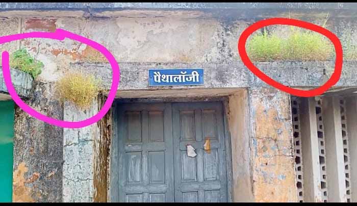 देबारी के पिये पड़वा नही मोटाय, सिविल अस्पताल के शासकीय ब्लड जांच केंद्र मे अपना रूप