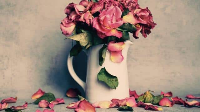 घर पर भूलकर भी न रखें सूखे फूल, वरना पड़ सकता है पछताना