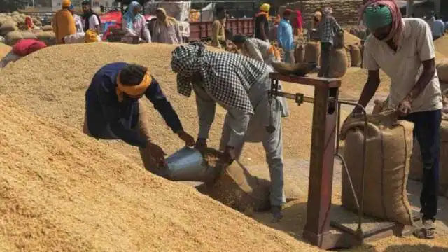 बिहारः 1 नवम्बर से होगी धान की खरीद, आज से होगा आवेदन