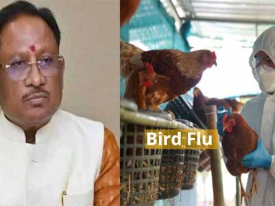 मुख्यमंत्री ने बर्ड फ्लू की रोकथाम के लिए कलेक्टरों को दिए दिशा निर्देश