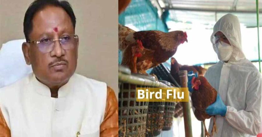 मुख्यमंत्री ने बर्ड फ्लू की रोकथाम के लिए कलेक्टरों को दिए दिशा निर्देश