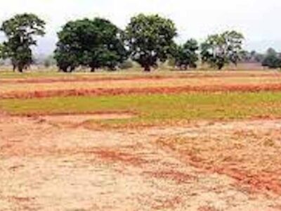 कोरबा में पटवारी ने नियम कानून को ताक पर रखकर 250 एकड़ जमीन की कर दी बंदरबांट