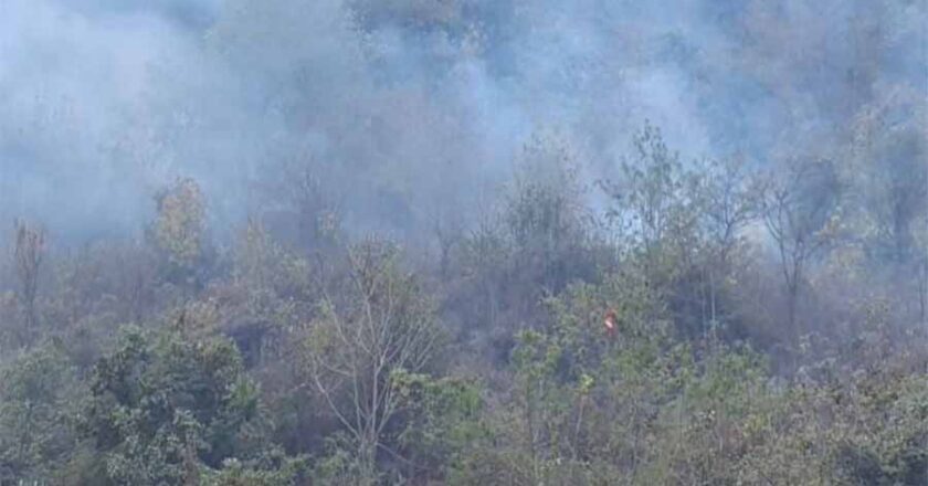 छत्तीसगढ़ के कांकेर शहर स्थित गढ़िया पहाड़ में फिर से आगजनी