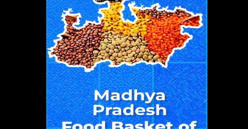 भारत का “फ़ूड बास्केट“ बन रहा मध्यप्रदेश