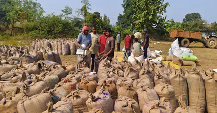 रायपुर : साल दर साल टूटा धान खरीदी का रिकार्ड,  किसानों को 31 हजार 089 करोड़ रूपए का भुगतान