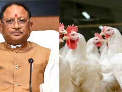 छत्तीसगढ़-रायगढ़ में मिला बर्ड फ्लू का केस, सीएम साय ने रोकथाम के दिए दिशा निर्देश