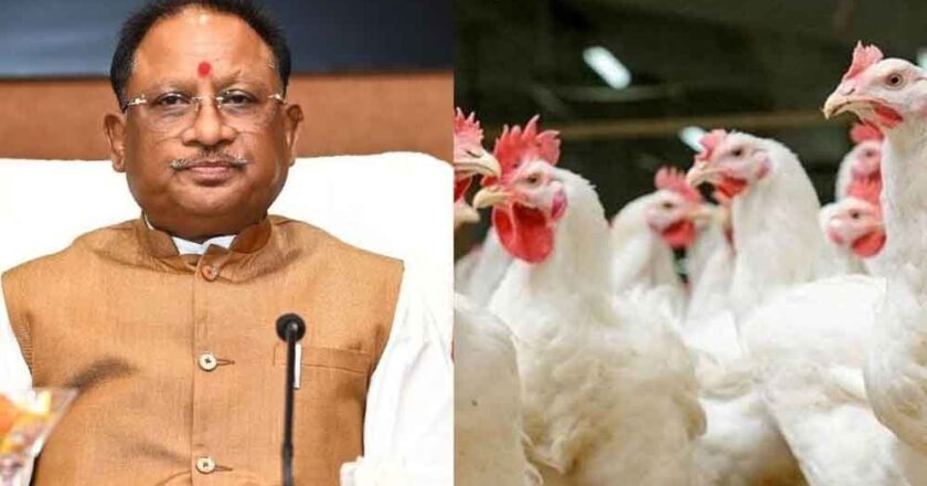 छत्तीसगढ़-रायगढ़ में मिला बर्ड फ्लू का केस, सीएम साय ने रोकथाम के दिए दिशा निर्देश