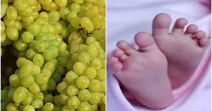 16 माह के बालक के गले में अंगूर फंसने से उसकी मौत, पुलिस ने मर्ग किया कायम