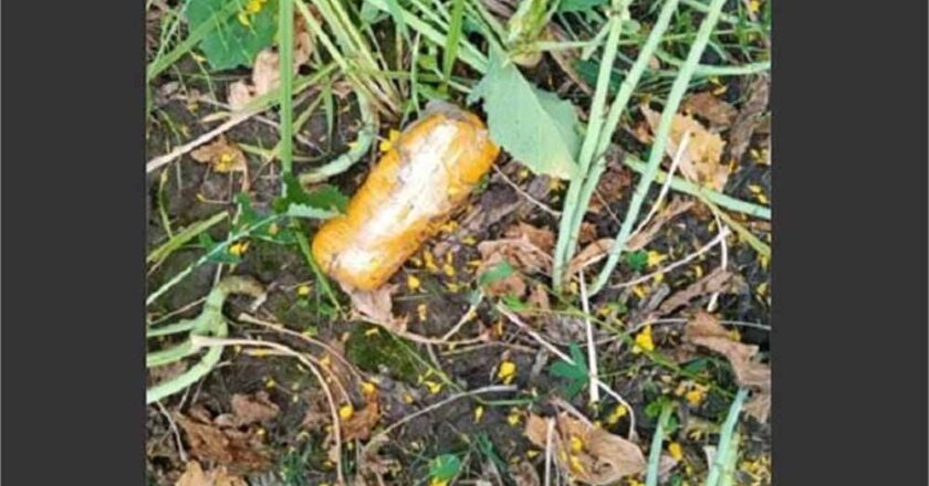 बीएसएफ ने मोटरसाइकिल सवार दो युवकों को गिरफ्तार किया, भारी मात्रा में हेरोइन मिला