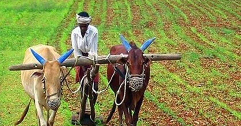 केंद्रीय वित्त मंत्री द्वारा प्रस्तुत बजट किसानों के सशक्तीकरण का माध्यम बनेगा, ऐसे होगा फायदा