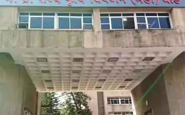 मध्यप्रदेश राज्य कृषि विपणन बोर्ड के माध्यम से मिल रही किसानों को सुविधाएं