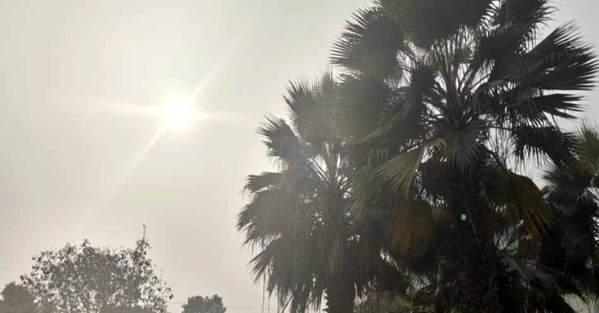 प्रदेश में मौसम शुष्क रहने की संभावना: मौसम विभाग