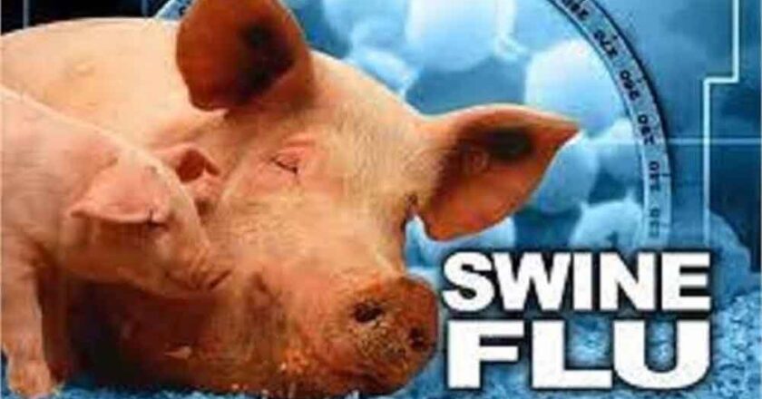 जिले में स्वाइन फ्लू ने पैर पसारने शुरू किये, हरियाणा में दो वर्ष का बच्चा इस भयानक वायरस की चपेट में आया