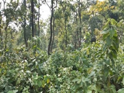 उत्तराखंड विधानसभा के बजट सत्र से दौरान सदन में सीएजी की रिपोर्ट की गई पेश, वित्तीय अनियमितताओं का हुआ खुलासा