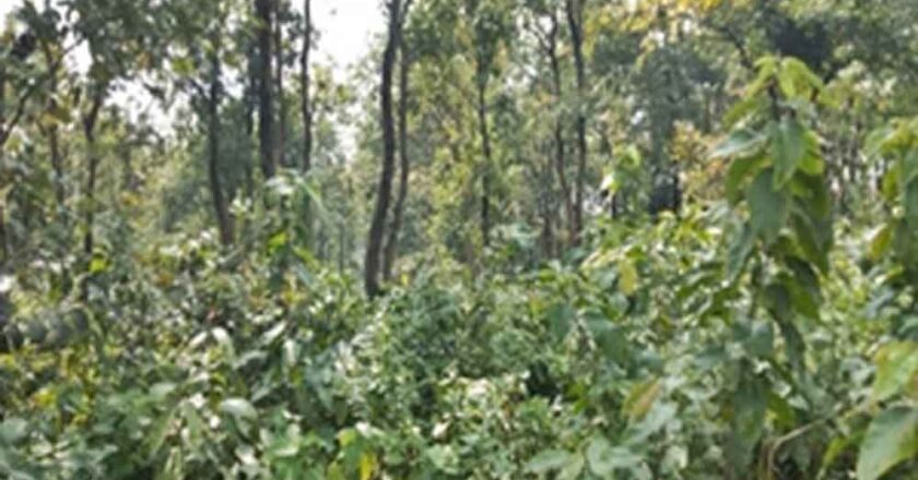 उत्तराखंड विधानसभा के बजट सत्र से दौरान सदन में सीएजी की रिपोर्ट की गई पेश, वित्तीय अनियमितताओं का हुआ खुलासा