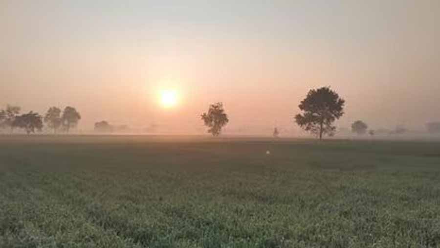यूपी में पछुआ हवाओं के चलते एक बार फिर मौसम हुआ सुहावना