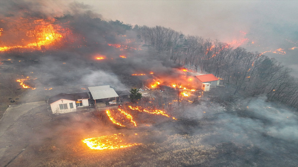 द कोरिया में जंगल की आग ने मचाया कोहराम, 18 की मौत, 1300 साल पुराना बौद्ध मठ खाक