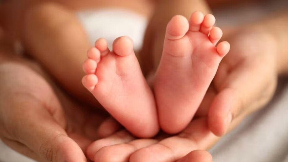 पुणे जिले के दौंड कस्बे में कचरे के ढेर में 6-7 नवजात शिशुओं के शव मिलने से हड़कंप