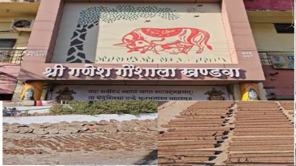 खंडवा में गोशाला में तैयार हो रहे कंडे ओर गोकाष्ठ, होलिका दहन के लिए उपलब्ध