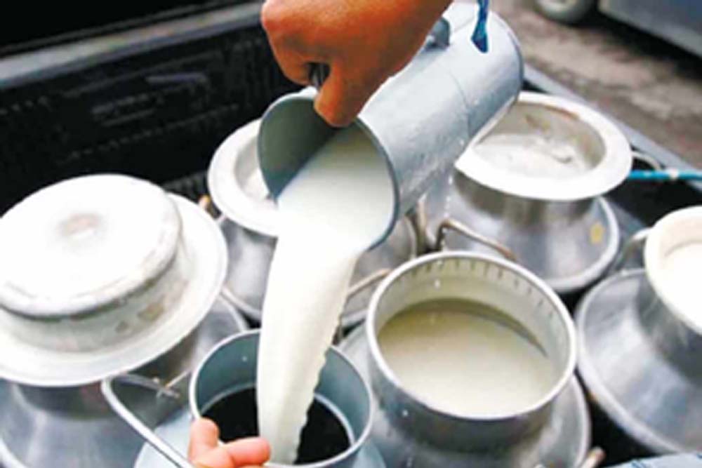 भारत का दूध उत्पादन पिछले 10 वर्षों में 63.56 प्रतिशत बढ़कर  239.2 मिलियन टन हो गया, वृद्धि दर 5.7 प्रतिश