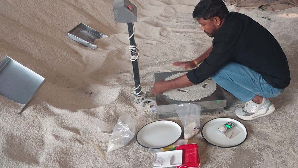 राइस मिल एसोसिएशन प्रदेश अध्यक्ष पर ईओडब्ल्यू ने कराई, आठ जिलों में 145 लोगों पर 38 एफआईआर