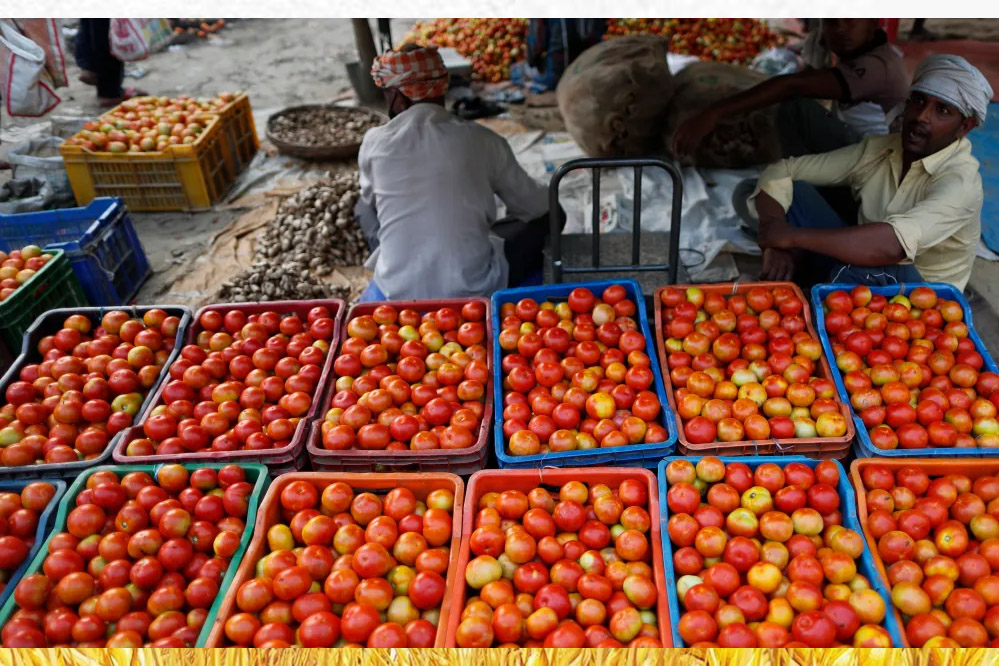 Indore News: टमाटर के दाम हुए औंधे मुंह गिरे! दाम मात्र 3 रुपए प्रति किलो पहुंचे