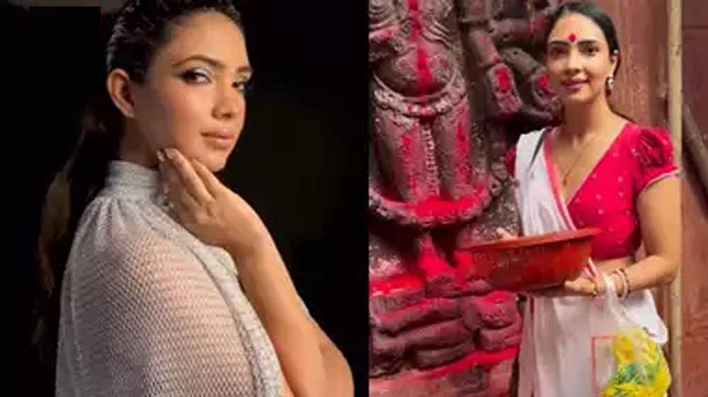 टीवी एक्ट्रेस पूजा बनर्जी ने मैटरनिटी एंजॉय करते हुए कराया फोटोशूट