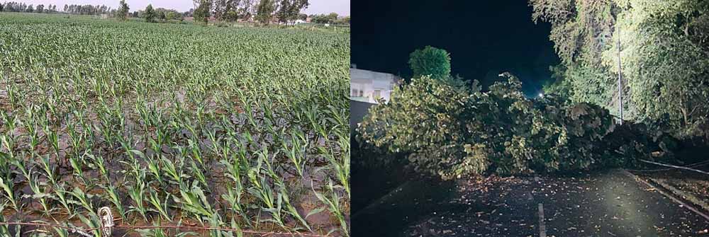 मौसम का मिजाज फिर बिगड़ा, बरेली समेत पूरे मंडल में आंधी के साथ बारिश