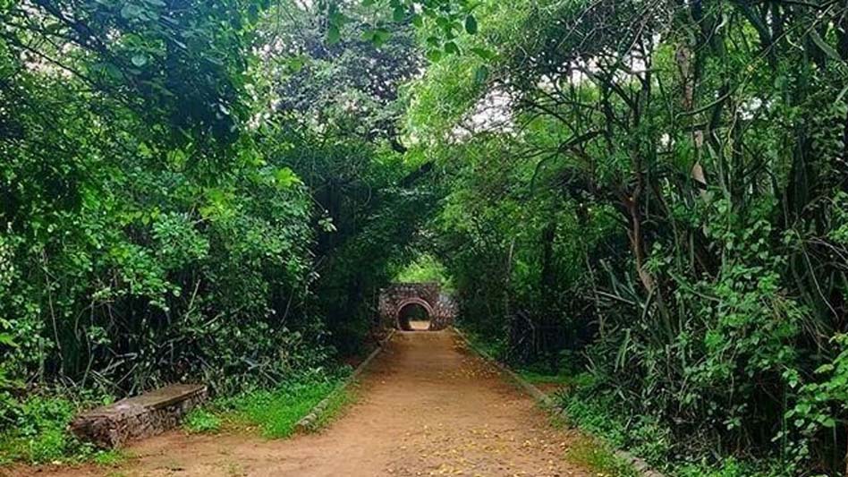 जबलपुर के ठाकुरताल से लगी पहाड़ी पर शहर का पहला सिटी फॉरेस्ट विकसित किया जा रहा