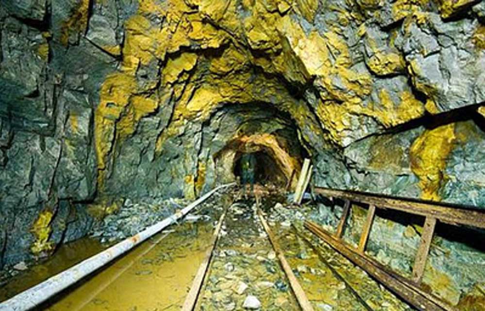 सिंगरौली की धरती में निकला सोने का भंडार, खदानों में उतारी गईं मशीनें, मालामाल होगा राज्य