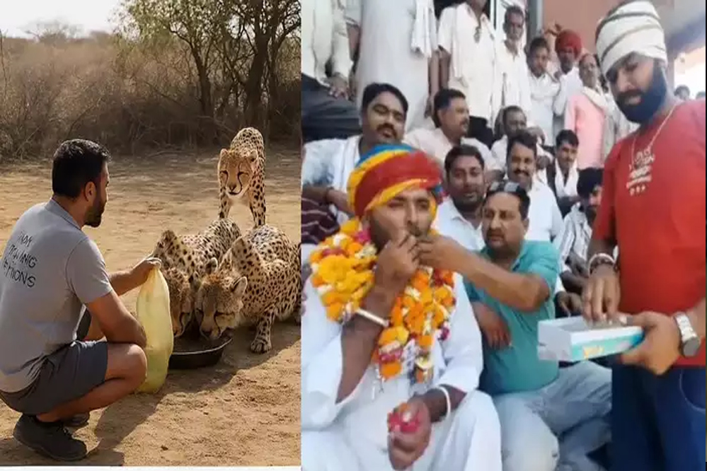 चीतों को पानी पिलाने वाले ड्राइवर सत्यनारायण गुर्जर को फिर से नौकरी मिली