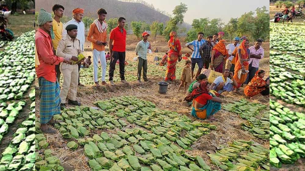 तेंदूपत्ता ठेकेदार पुलिस को सूचना दिए बगैर जंगल में कैश और वाहन नहीं ले जा सकेंगे