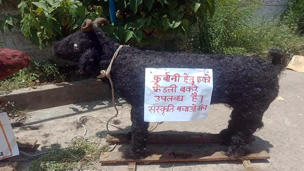 प्रदेश में हिंदू संगठन ने तैयार करवाए खास तरह के बकरे, मुस्लिमों से की ईको-फ्रेंडली बकरा ईद मनाने अपील