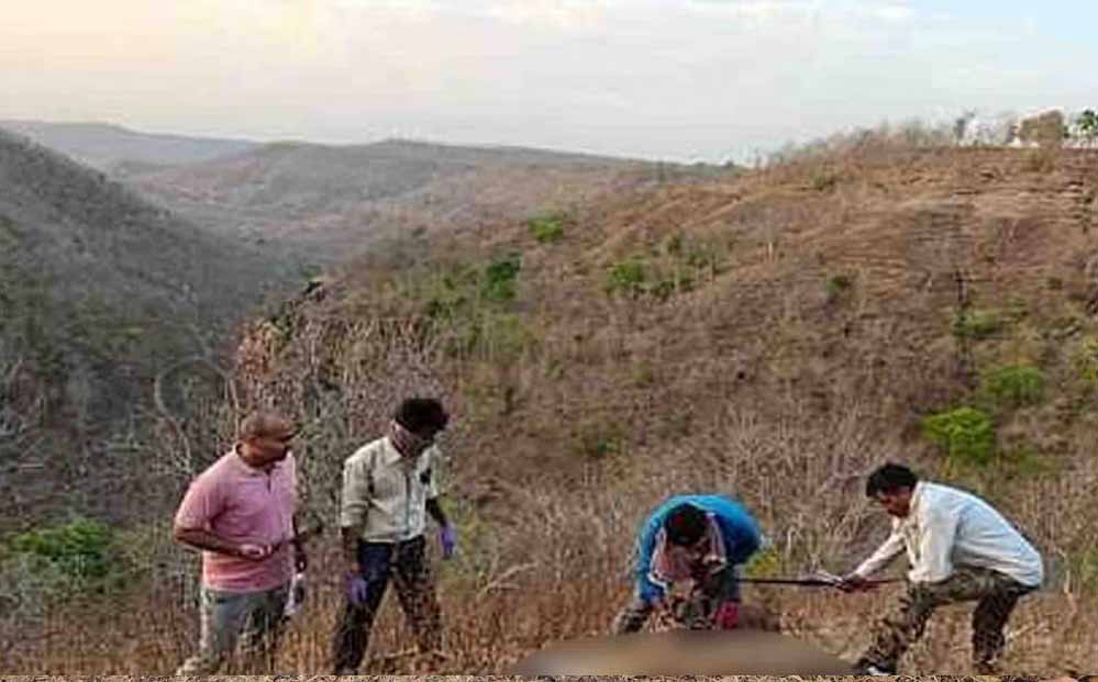 शाहपुर रेंज में वन अमले को एक बाघिन का शव मिलने से हड़कंप