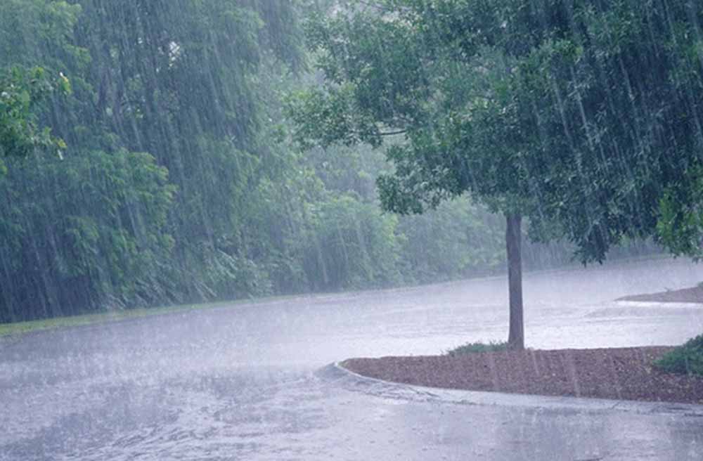 बार-बार हो रही बारिश से लोगों को गर्मी राहत मिल रही है, मई में बारिश का 11 वर्षों का टूटा रिकॉर्ड