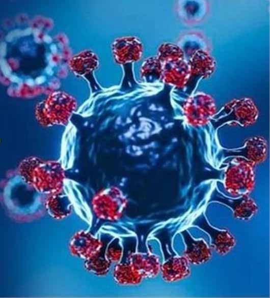 चंडीगढ़ में कोरोना वायरस से पहली मौत, फैली दहशत