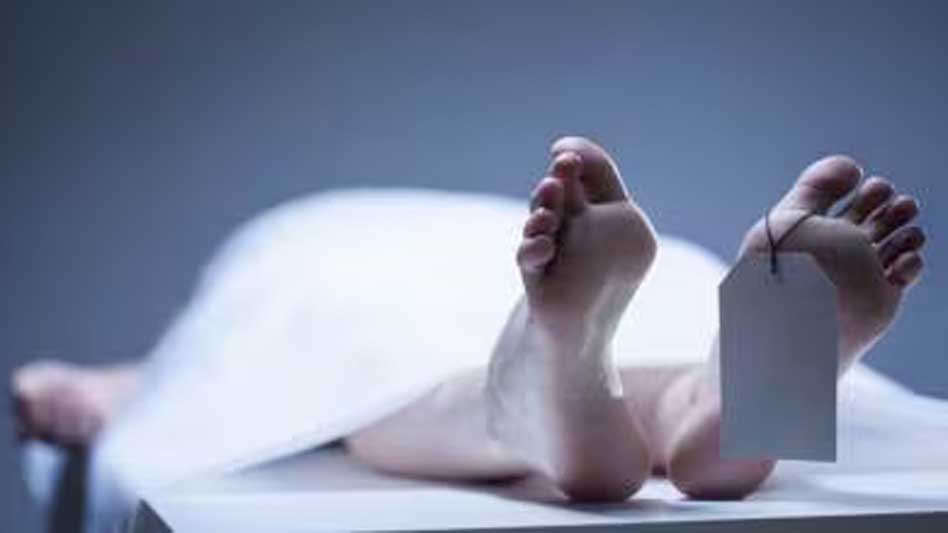 मध्य प्रदेश में 11.26 करोड़ का सांप घोटाला उजागर, सिवनी जिले में फर्जी सर्पदंश मृत्यु दावों से ठगी