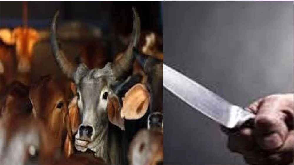 नौखड़ गांव में अज्ञात लोगों ने निर्ममता से पेड़ में बांधकर गौवंश का अंग-भंग कर की हत्या, क्षेत्र में तनाव का माहौल