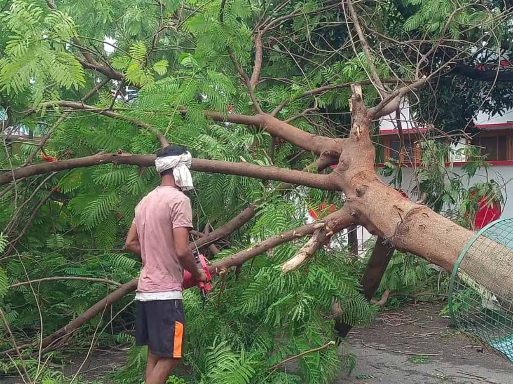 यूपी के दक्षिण पूर्व क्षोभ मंडल में बने दो चक्रवाती दबाव के चलते राज्य के अधिकांश हिस्सों में बारिश का सिलसिला जारी