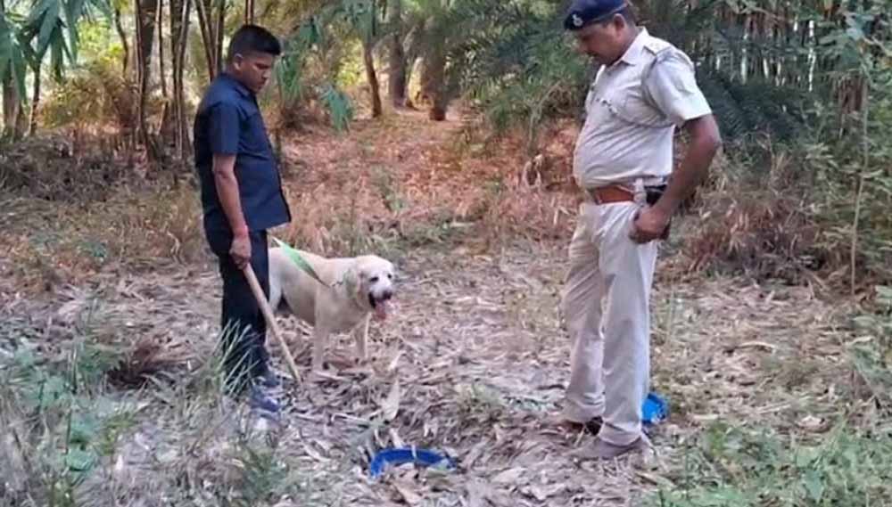 पुलिस और डॉग स्क्वाड की टीम ने अवैध देशी शराब का पकड़ा जखीरा