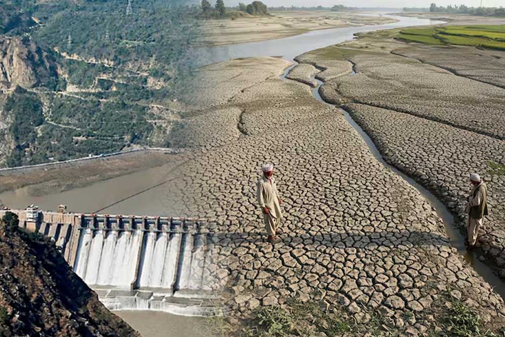 सिंधु नदी के पानी में कटौती से पाकिस्तान में फसलों की बुआई प्रभावित, सिंध-पंजाब में हाहाकार