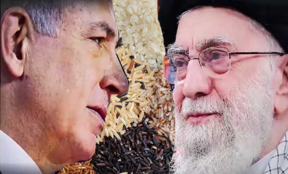 ईरान-इजरायल युद्ध का असर… हरियाणा से बासमती चावल का निर्यात थमा, एक्सपोर्टर्स को घाटे का डर