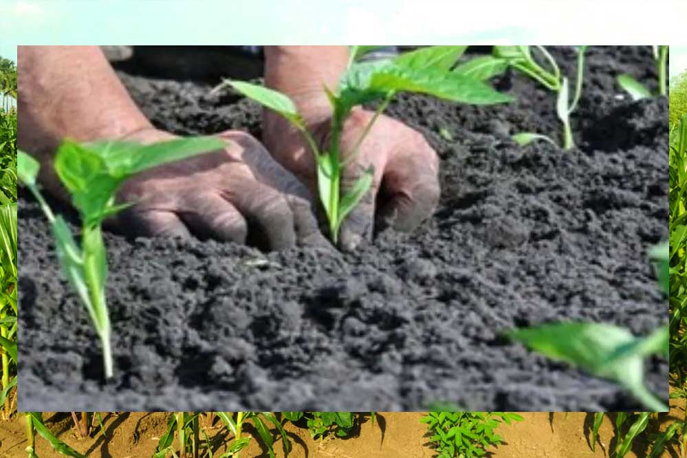 26 जून को किसानों की चौपाल का आयोजन, मुख्य अतिथि मुख्यमंत्री डॉ. मोहन यादव होंगे