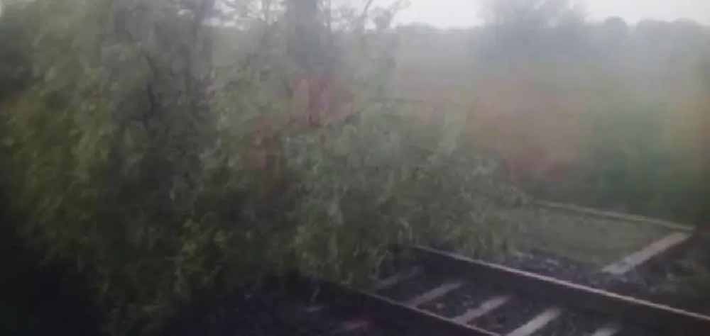 उज्जैन जिले में तेज आंधी और तूफान ने लगातार दूसरे दिन ट्रेन संचालन को रोक दिया, पटरियों पर गिरा पेड़