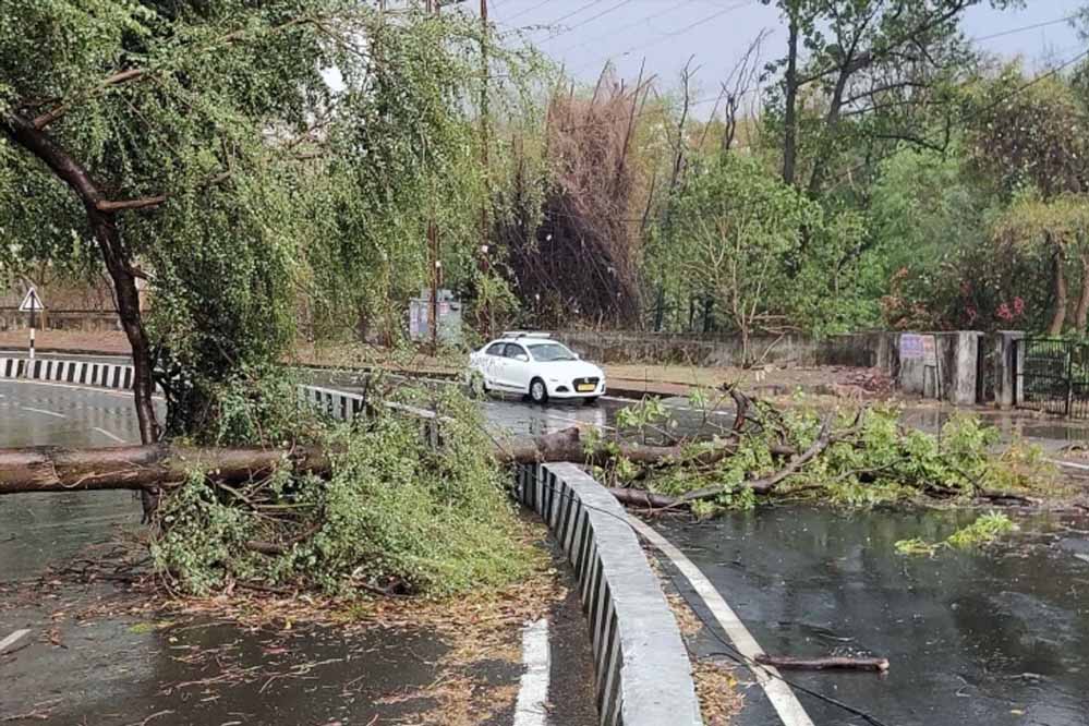 ग्वालियर-चंबल में 60Km/घंटा रहेगी आंधी की रफ्तार, भोपाल, इंदौर-जबलपुर में बारिश का अलर्ट